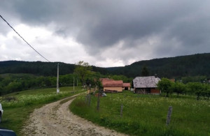 thumb_3561216_7.jpg