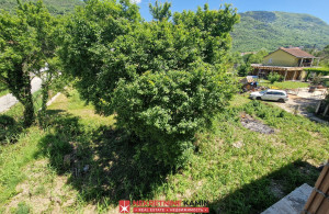 thumb_3561498_stva-grbaljska-kotor-nekretnine-kotor-kamin-nekretnine_5.jpg