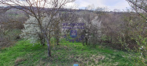 thumb_3561671_image_681f6476cea3263fc11007ff.jpg