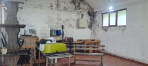 thumb_3562299_img_2933.jpeg