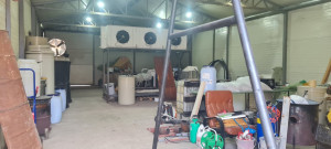 thumb_3562299_img_2935.jpeg