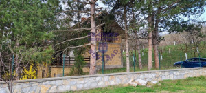 thumb_3562545_7.jpg