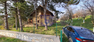 thumb_3562545_8.jpg