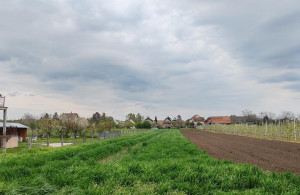 thumb_3563202_pl.jpg