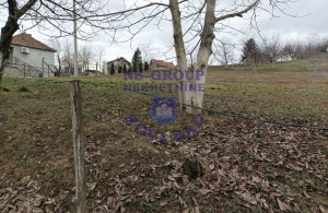 thumb_3563243_image_682462daf8eabd5bca5c2ebe.jpg