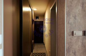 thumb_3563332_9.jpg