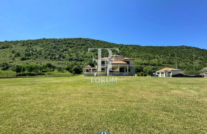 thumb_3564224_4.jpg