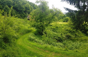 thumb_3565014_kuca-potkozarje-ivanjska-07.jpg