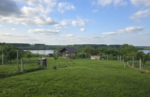 thumb_3565096_6.jpg