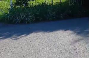 thumb_3565116_screenshot_20250508-103843_2.jpg