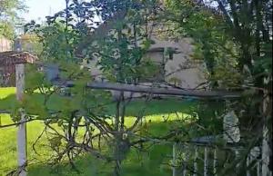 thumb_3565116_screenshot_20250508-103910_2.jpg