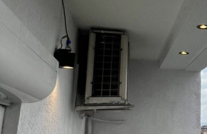 thumb_3565171_img_7006.jpeg