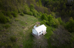 thumb_3565202_proscenje9.jpg