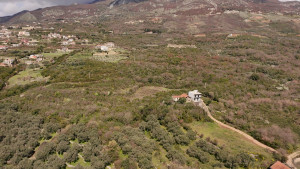 thumb_3565211_dji_20250328124658_0087_d.jpg