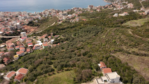 thumb_3565211_dji_20250328125002_0093_d.jpg