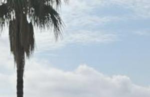 thumb_3565951_img_9710.jpg