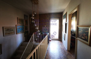 thumb_3565992_image_652aa66d3872f3ab1e700a28.jpeg