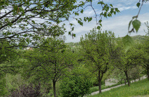 thumb_3565994_img_20250504_111113952_hdr.jpg