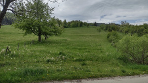 thumb_3565998_img_20250504_110503306_hdr.jpg