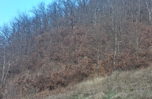thumb_3566309_img_20231118_140730.jpg