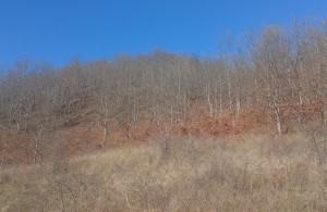 thumb_3566309_img_20231118_141045.jpg