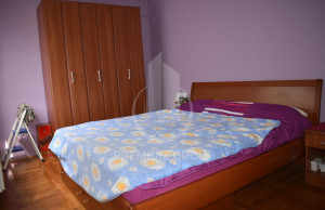 thumb_3566545_kucaa.jpg