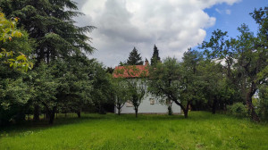 thumb_3566637_img-27d761418fa6364ba5c962ca9d0557fd-v.jpglisovic.jpg