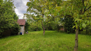 thumb_3566637_img-d6b912a90956960dc05c83cbe2543aef-v.jpglisovic.jpg