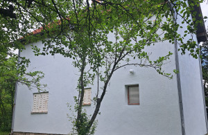 thumb_3566637_lisovic-3.jpglisovic.jpg
