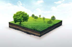 thumb_3566760_slice-of-land.jpg