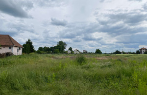 thumb_3567581_3.jpg