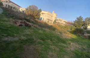 thumb_3567813_img_6682.jpeg