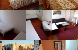 thumb_3568346_20240128_105710-collage.jpg