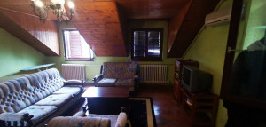 thumb_3568348_1.jpg