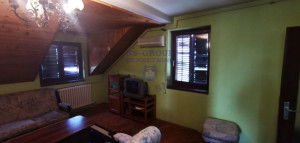 thumb_3568348_7.jpg