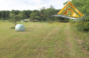 thumb_3568385_img_0396-copy.jpg