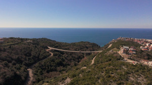 thumb_3568481_dji_20250304131236_0049_d.jpg