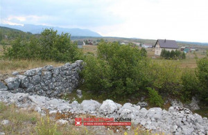 thumb_3570266_tepacko-polje-zabljak-_2.jpg