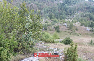 thumb_3570266_tepacko-polje-zabljak-_8.jpg