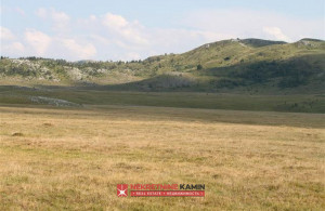 thumb_3570286_zabljak-plac.jpg