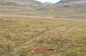 thumb_3570286_zabljak-plac_2.jpg