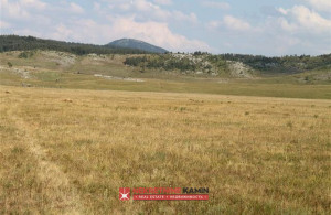 thumb_3570286_zabljak-plac_3.jpg
