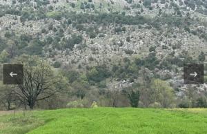 thumb_3571602_img_4383.jpg