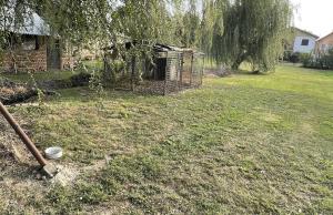 thumb_3571821_img_9237.jpg