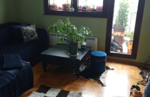 thumb_3571868_img-70ba19c0e37231ad2f190ded7c7dfc50-v.jpg