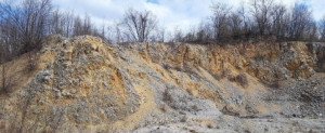 thumb_3572083_4.jpg