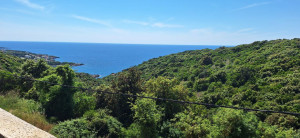 thumb_3573059_1.jpg