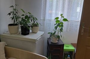 thumb_3573069_rakovica---knezevac-5425645583211-71811783823.jpgpetlovo.jpg