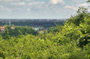 thumb_3573120_1.jpg