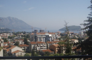 thumb_3573175_img_5158.jpg